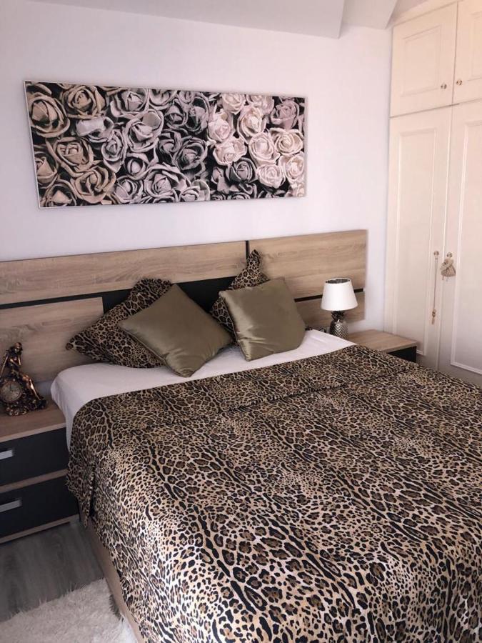 Appartement Gran Partamiento En