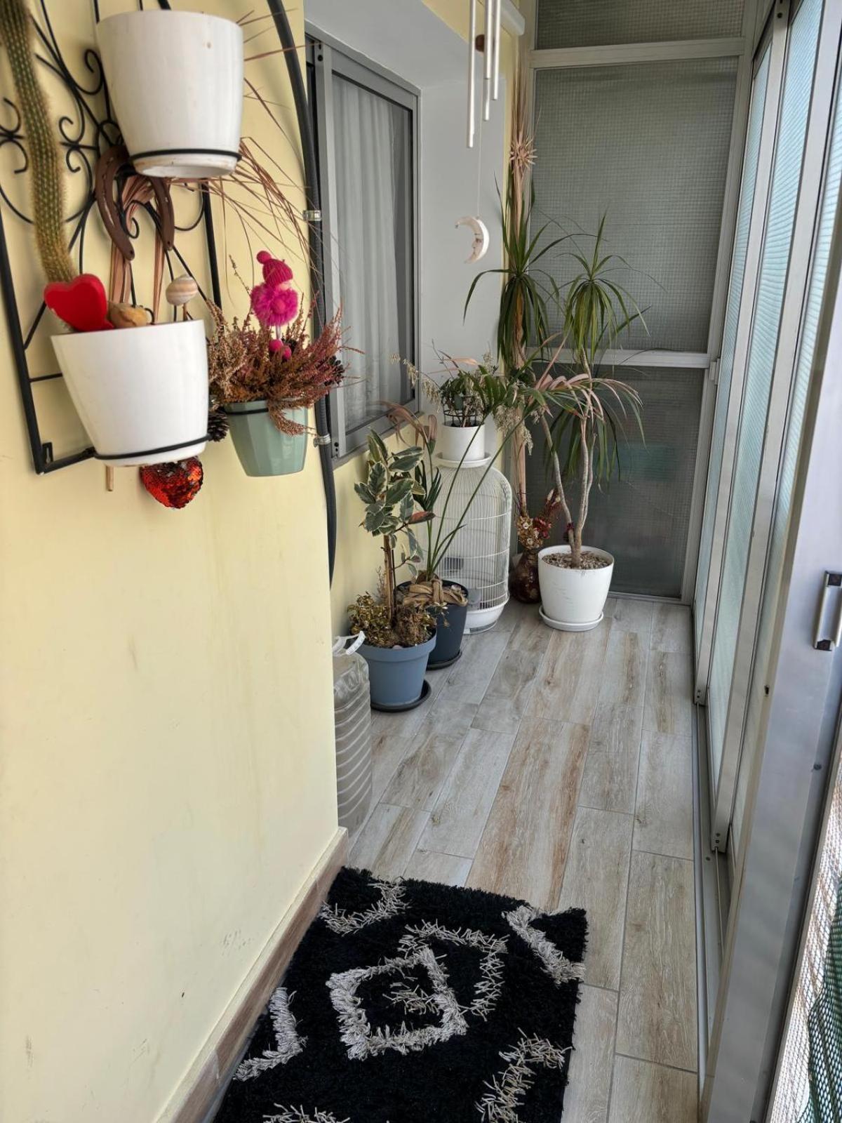 Apartment Gran Partamiento En